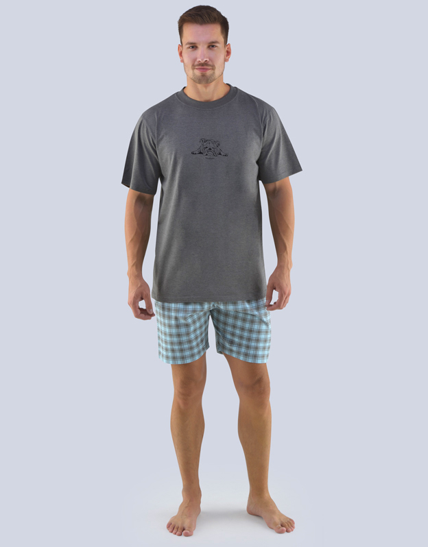 GINA pánské pyžamo krátké pánské, šité, s potiskem Pyžama 2019 79078P  - šedá sv. tyrkysová XXL