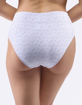 11091_x3.jpg