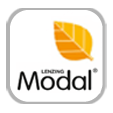 Modal