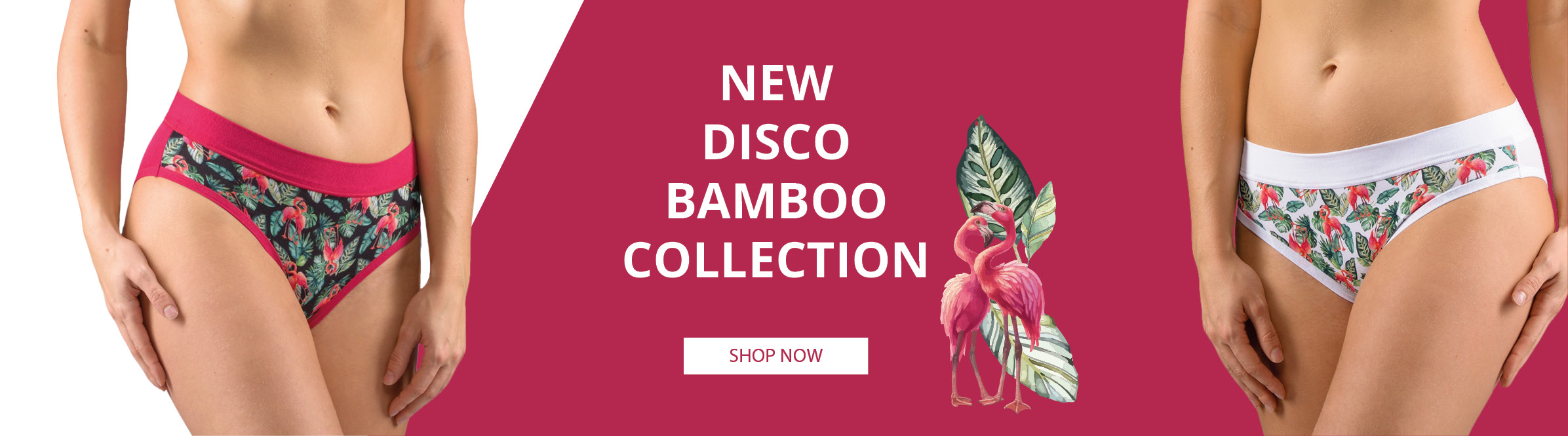 bambusové disco 