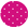 magenta, white