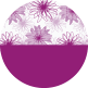 wine, white