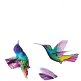 white, purple