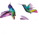 white, purple