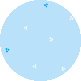 white blue, white