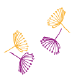 white, dark purple
