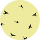banana, black