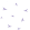 white, hydrangea
