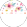 white, muscat