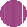 purple brown