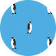 dark turquoise, white